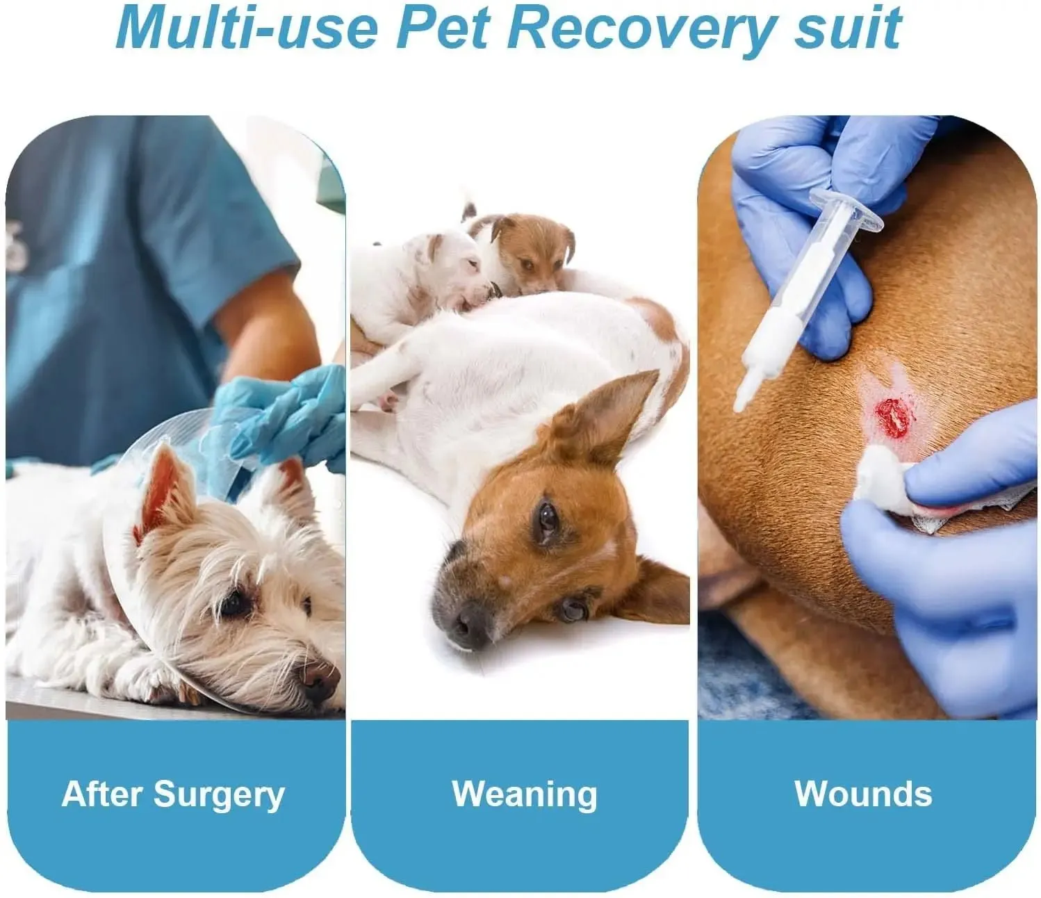 AnniePaw Dog Surgical Recovery Suit Abdominal Wound Long Sleeve Onesie