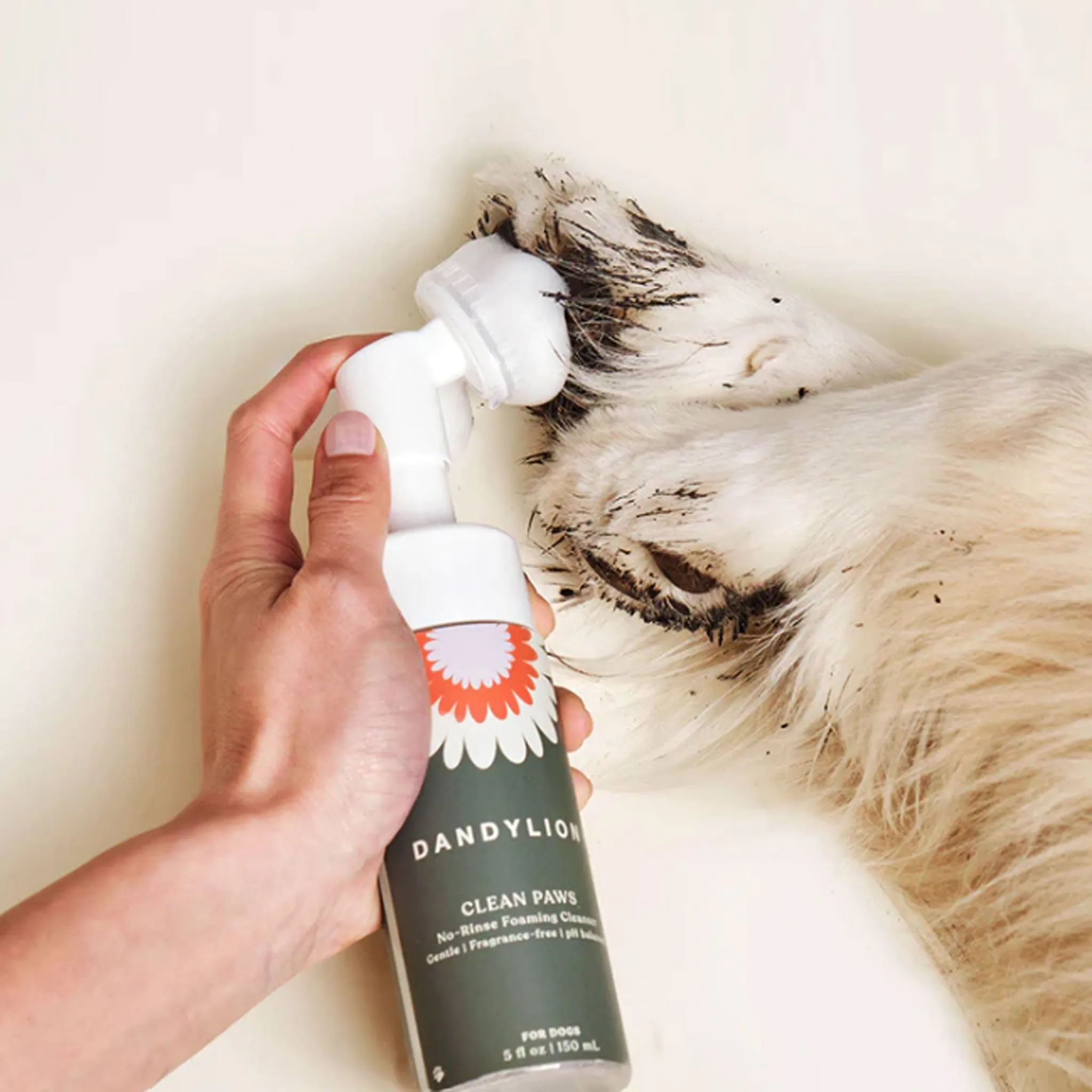 Dandylion No-Rinse Foaming Cleanser Clean Paws 5 oz