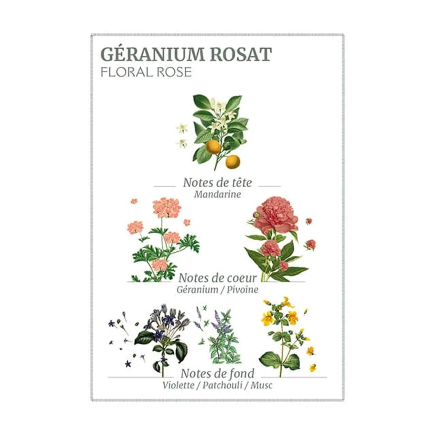 PANIER DES SENS - ROSE GERANIUM HAND & BODY WASH