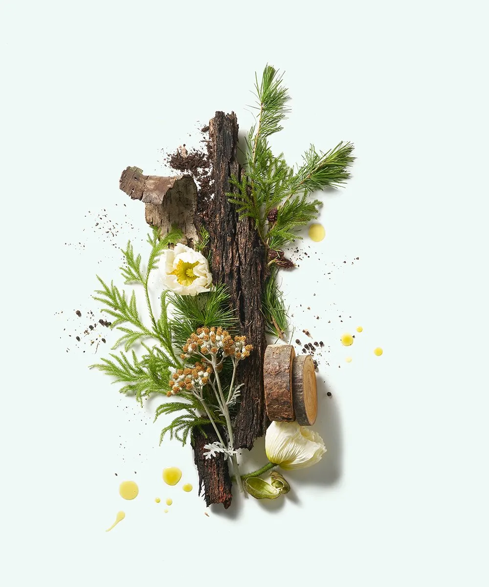 Plant based Deodorant - Cedar Flora